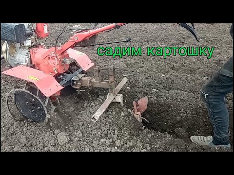 Видео: Садим картошку легким мотоблоком ЗУБР ХА-31