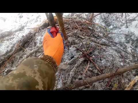 Видео: Проверка ловушок на зайца такого я не ожидал