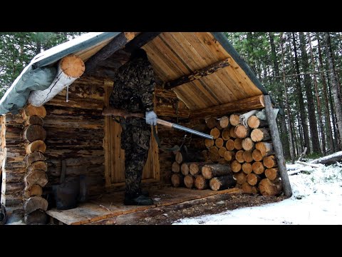 Видео: Пришёл в избу. Открыл путик. Добыл зайца.