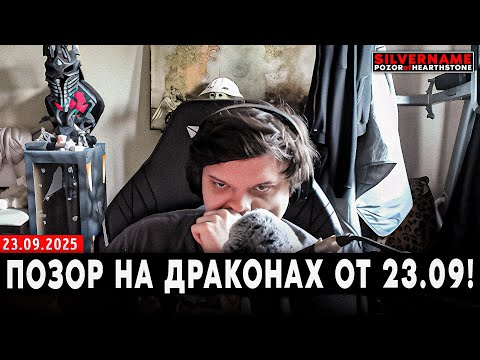 Видео: ПОЗОР на ДРАКОНАХ от 23.09! | SilverName Pozor of Hearthstone