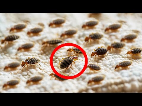 Видео: Эти факты расплавят ваш мозг в самом лучшем смысле этого слова