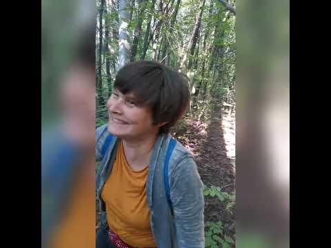 Видео: Городские грибы, городские грибы...