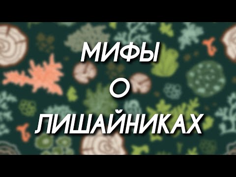 Видео: Мифы о лишайниках!