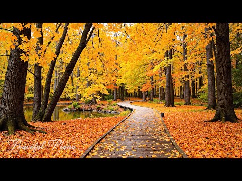 Видео: Красивая осенняя музыка 🍁 Успокаивающая осенняя мелодия для исцеления души и комфорта