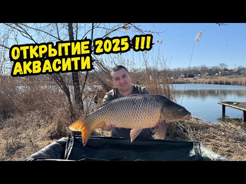 Видео: Открытие 2025 !!! Лед сошел, карп уже клюет. Ранняя весна, холодная вода. Карпфишинг.