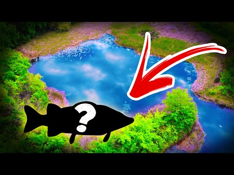 Видео: ОТКРИХМЕ ЩУКАРСКИЯ РАЙ до СЕЛО с 9 човека население! Спининг риболов на щука