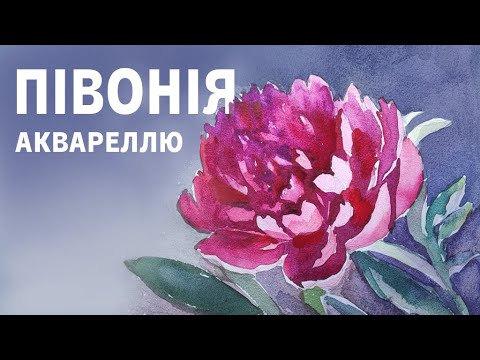 Видео: Малюємо півонію аквареллю. Фінальну картинку можна скачати в телеграм каналі.