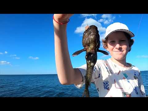 Видео: Рыбалка на БЫЧКА на отводной поводок ,учимся ловить СКАТА .