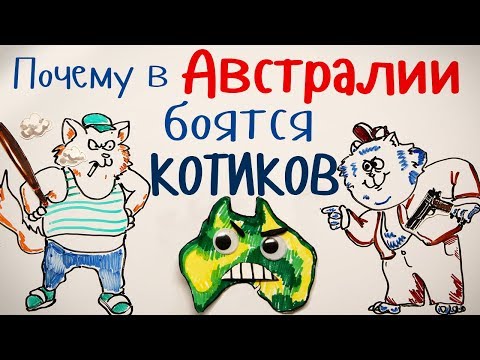 Видео: Почему в АВСТРАЛИИ боятся КОТИКОВ?— Научпок