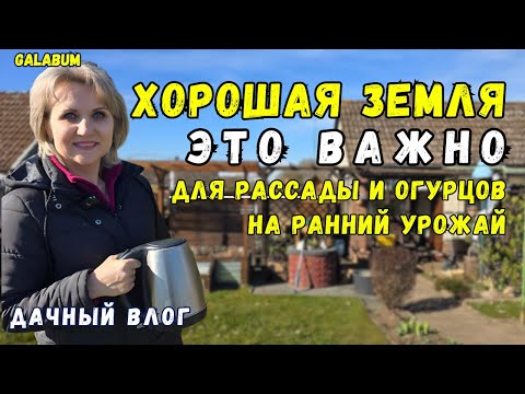 Видео: Хотели Подсыпать Рассаду но Земля Оказалась Плохой / Как я сею огурцы на ранний урожай. @galabum