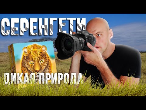 Видео: Серенгети - Играем в настольную игру