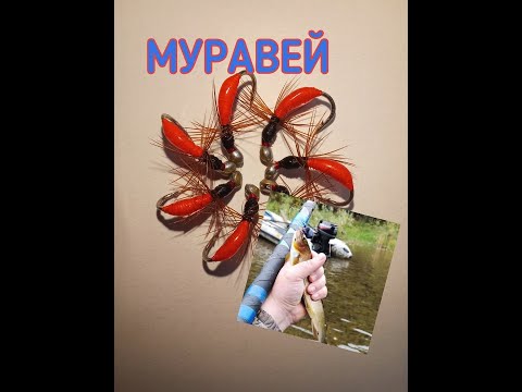 Видео: Муравей. Мушка на Хариуса. Имитация Муравья. Как сделать. уловистую мушку. Работает по  Хариусу.