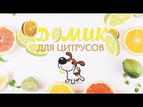 Видео: Новичок с клещом