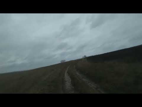 Видео: Едем по заброшенной Волосатовке Аткарского района) (ч.1.)