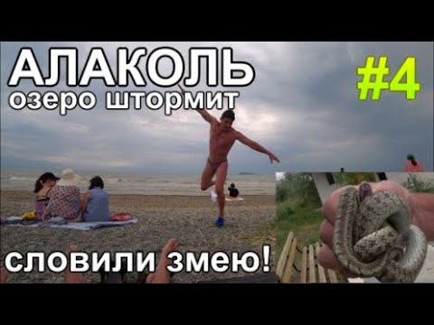 Видео: озеро Алаколь Влог: Шторм Пляж Грязи Змея Базы Арбат 2023