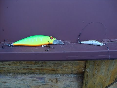 Видео: В работе воблерный тандем для пассивной щуки.  Часть2