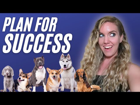 Видео: Как составить план дрессировки собак