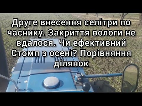 Видео: Второе внесение селитры по чесноку. Закрытие влаги. Эффективный Стомп с осени? Сравнение участков.