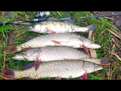 Видео: Осенний джиг.Простая рыбалка с perfect jig 0.6-7гр.