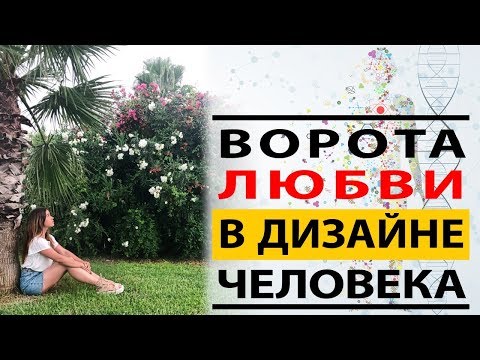 Видео: Дизайн Человека Human Design Ворота Любви Отношения Композит Совместимость
