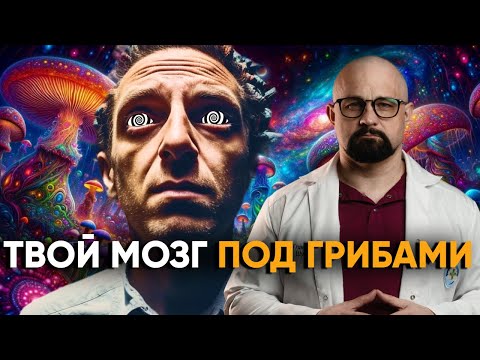 Видео: КАК ГАЛЛЮЦИНОГЕНЫ ДЕЙСТВУЮТ НА МОЗГ? МИКРОДОЗИНГ И МУХОМОРЫ ОПАСНЫ? Псилоцибин и зависимость