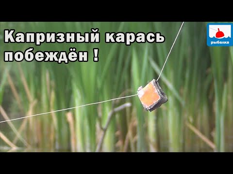 Видео: Карась на резинку! С капризами простого карася покончено! Небывалый улов!