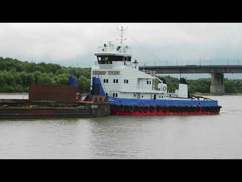 Видео: Омск 2021 / Речная прогулка / Много чаек