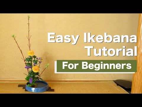 Видео: Легкая икебана для начинающих! | Урок икебаны | Мастер икебаны Риджо