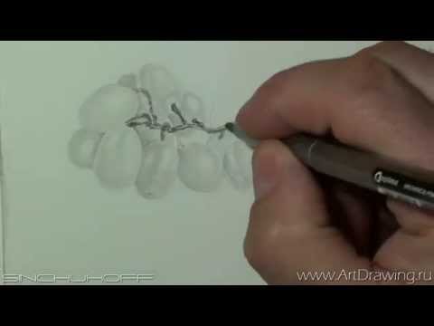 Видео: Рисуем белый виноград