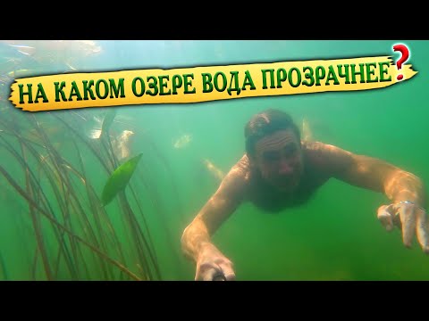Видео: 378. Тест на прозрачность воды. Озеро Линево, озеро Данилово, озеро Щучье Омская область. Окунево.