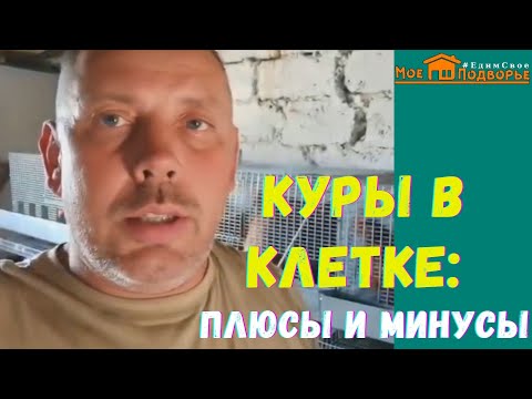 Видео: Клеточное содержание кур несушек. "Мое Подворье"