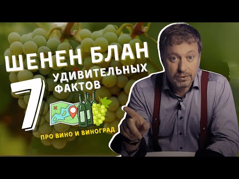 Видео: Сорт винограда [ШЕНЕН БЛАН] - 7 удивительных фактов