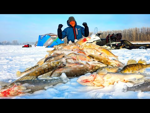 Видео: НЕВОЗМОЖНО ПОВЕРИТЬ! ТАКОЙ КЛЁВ БЫВАЕТ РАЗ В ЖИЗНИ! Рыбалка с ночёвкой 2025