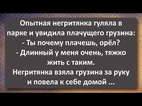 Видео: Ржевский со Стояком и Негритянка с Опытом! Сборник Самых Свежих Анекдотов! Юмор!