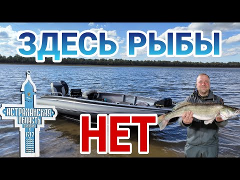 Видео: ЗДЕСЬ РЫБЫ НЕТ .