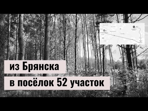 Видео: Забытые места в окрестностях Пальцо | Брянский край | белобережская узкоколейка