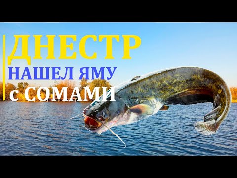 Видео: Рыбалка с лодки на СОМА! Ловля сома на Днестре! Сколько здесь сома!