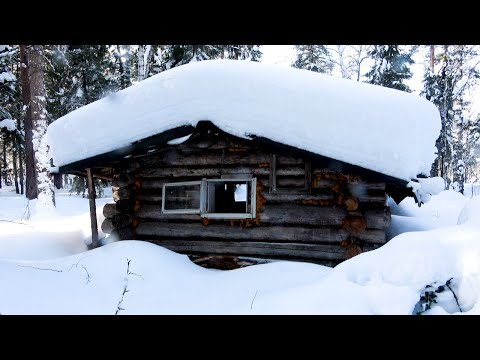 Видео: Нашёл заброшенную избу в тайге. Закрываю капканы