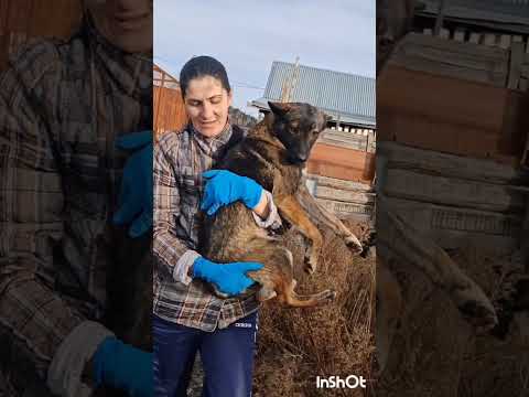 Видео: А у нас новоселье!!!! 👏🥳🙏🏻❤️
