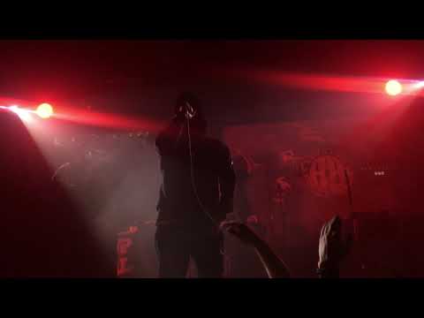 Видео: Руставели - Акела