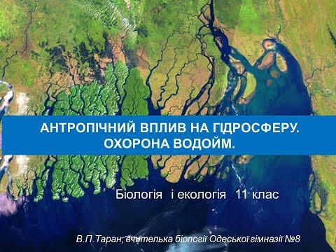 Видео: антропічний вплив на гідросферу