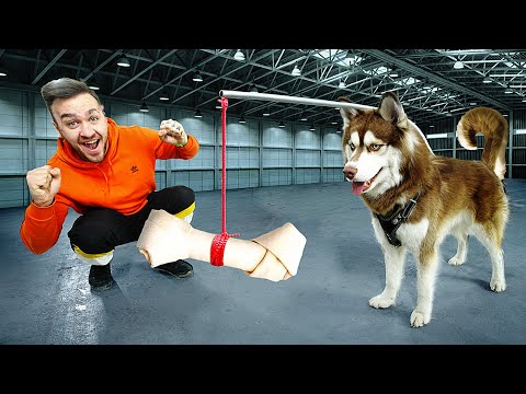 Видео: ЧТО, ЕСЛИ ПРИВЯЗАТЬ КОСТЬ ПЕРЕД СОБАКОЙ?