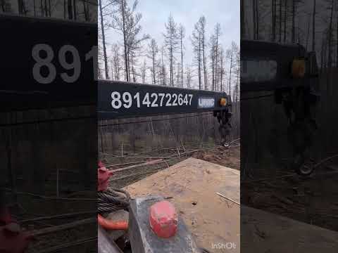 Видео: 16 октября 2025 г.
