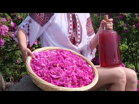 Видео: Возьмите лепестки роз и приготовьте этот удивительный летний напиток.