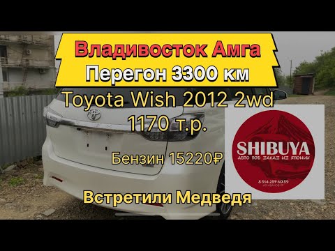 Видео: Перегон Владивосток Амга. Машину взяли у компании Shibuya Toyota Wish 20 подняли на 7 см