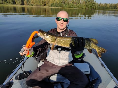 Видео: Попали на раздачу щуки.Смотрим кайфуем.#рыбалка #щука #fishing #топ #рыбак174 #спиннинг