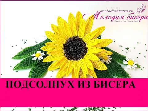 Видео: ПОДСОЛНУХ из БИСЕРА - мастер-класс. Урок 1/2 - Цветок