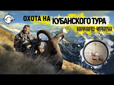 Видео: ГОРНАЯ ОХОТА! Добыл очередной трофей
