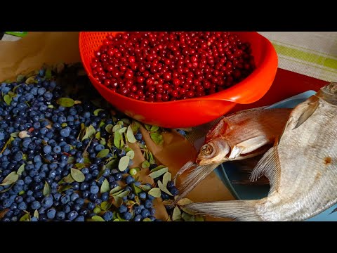 Видео: Свалила в деревню и правильно сделала. Коптим леща 