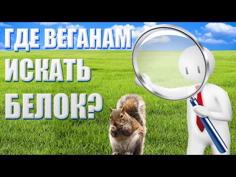 Видео: ГДЕ ВЕГАНУ ВЗЯТЬ БЕЛОК? | Мой рацион